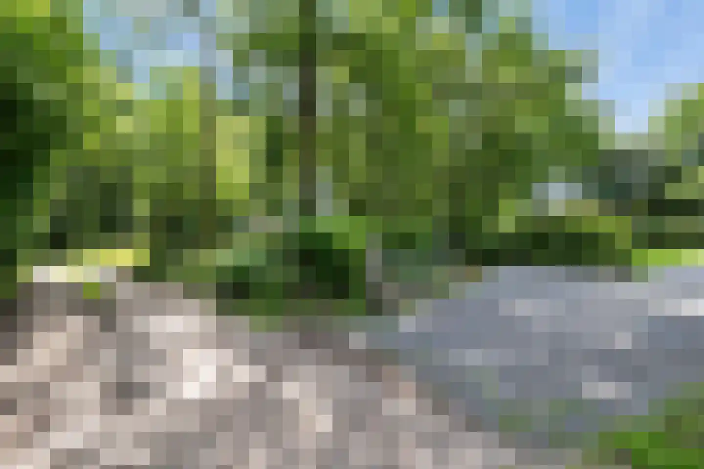 Slenerweg 83 03 Schoonoord thumbnail 5