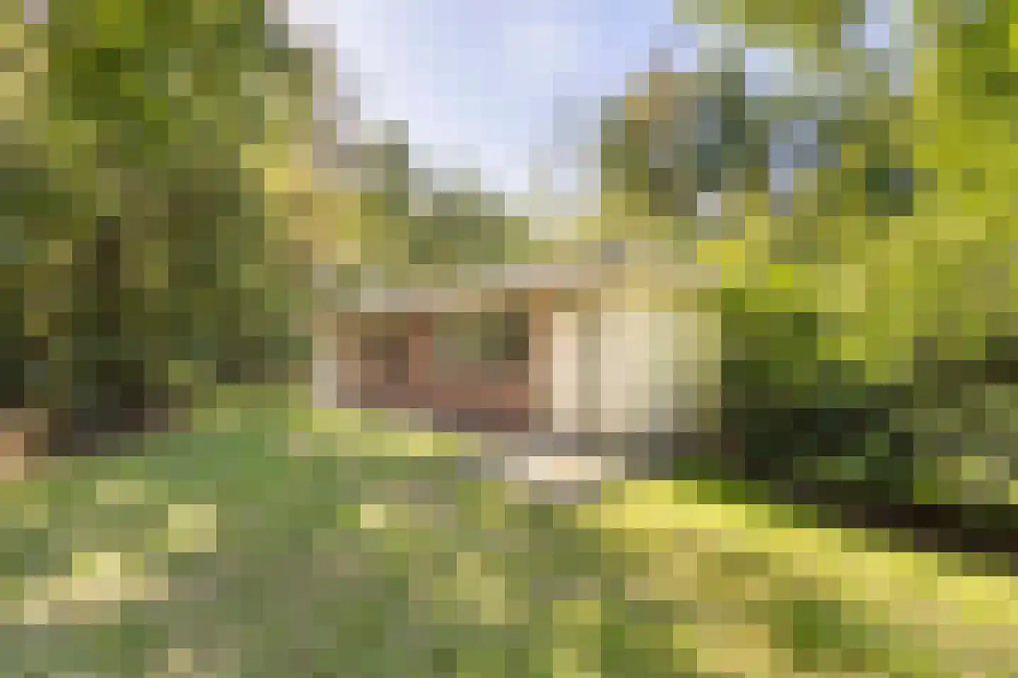 Slenerweg 83 04 Schoonoord thumbnail 19