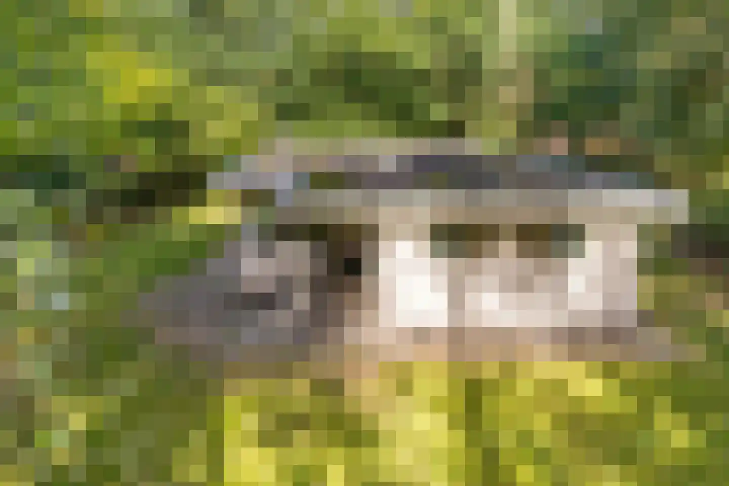 Slenerweg 83 04 Schoonoord thumbnail 20