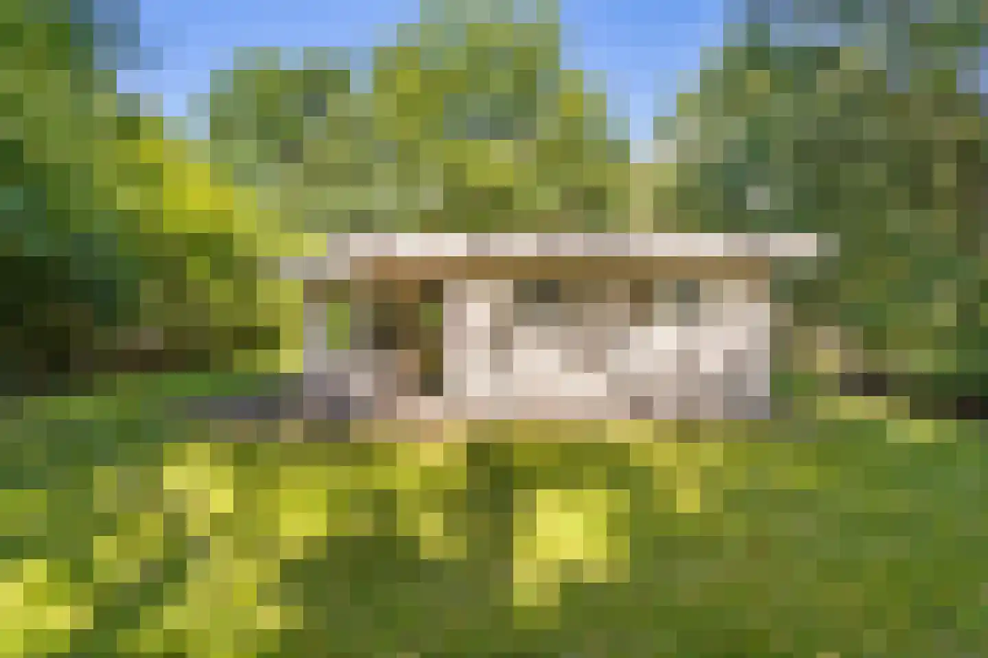 Slenerweg 83 04 Schoonoord thumbnail 21