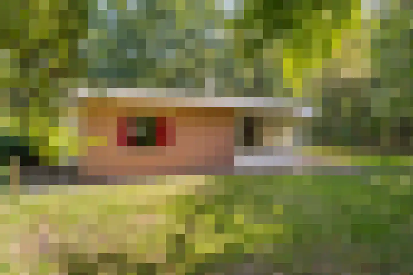 Slenerweg 83 04 Schoonoord thumbnail 23