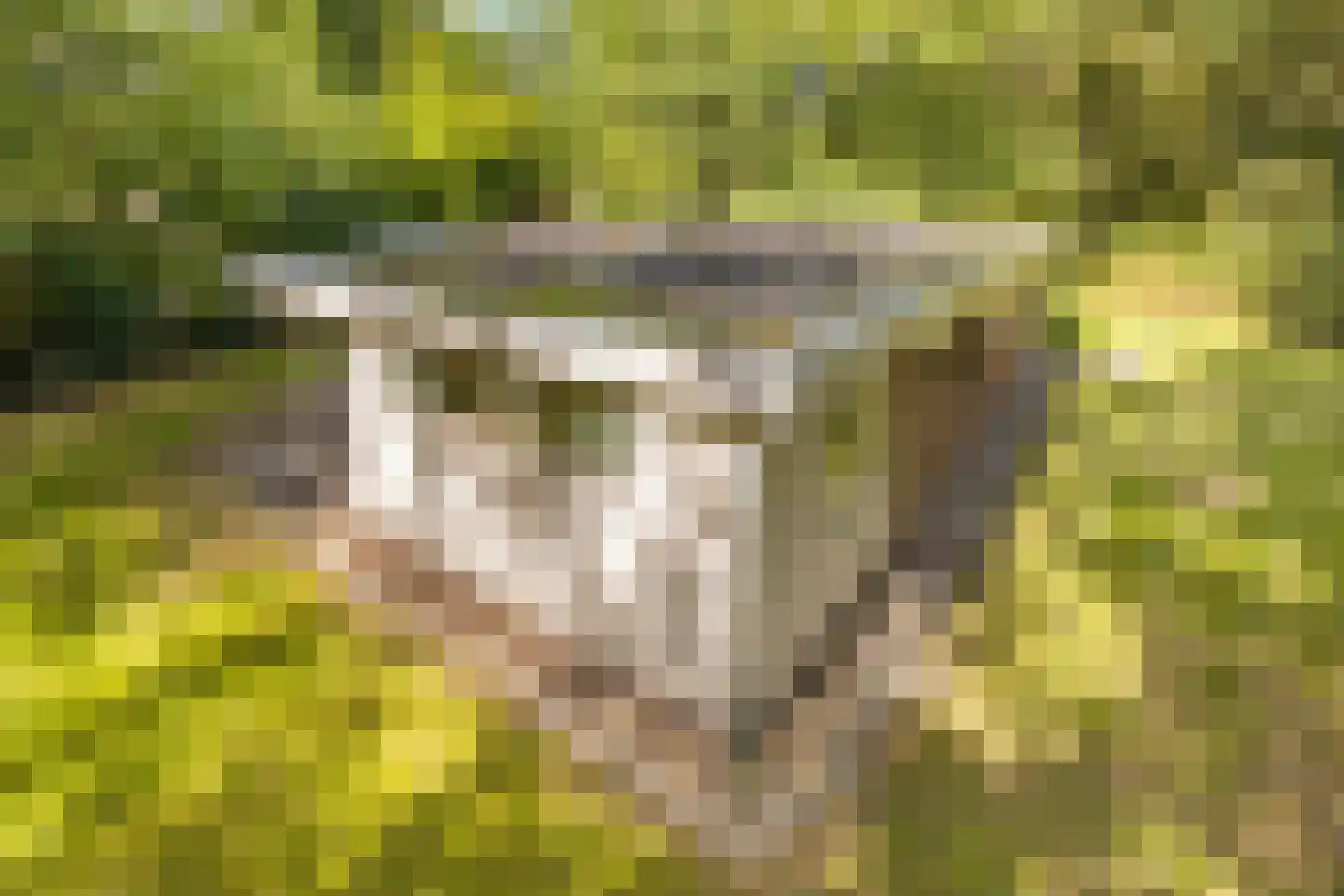 Slenerweg 83 04 Schoonoord thumbnail 25