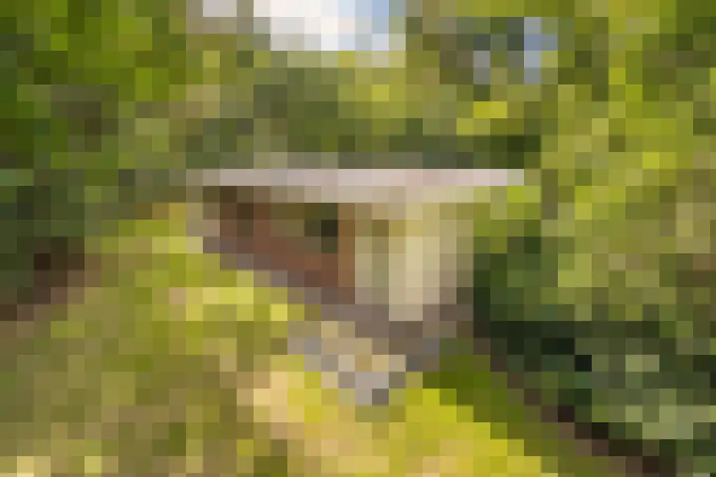 Slenerweg 83 04 Schoonoord thumbnail 26