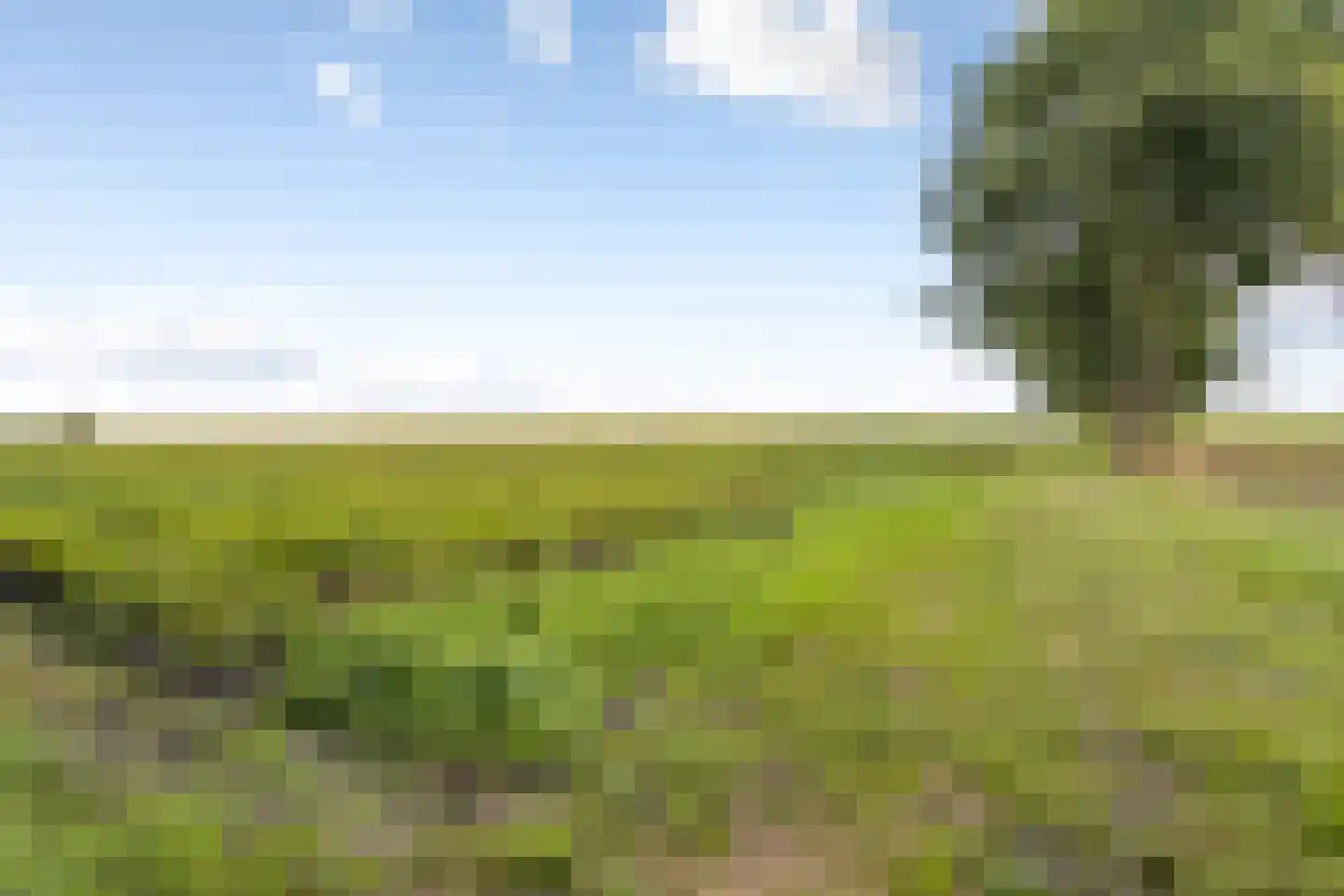 Slenerweg 83 04 Schoonoord thumbnail 30