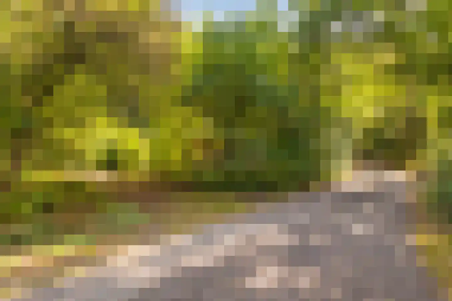 Slenerweg 83 04 Schoonoord thumbnail 6