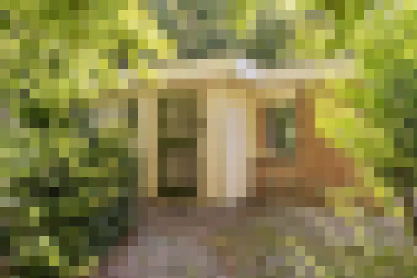 Slenerweg 83 04 Schoonoord thumbnail 8