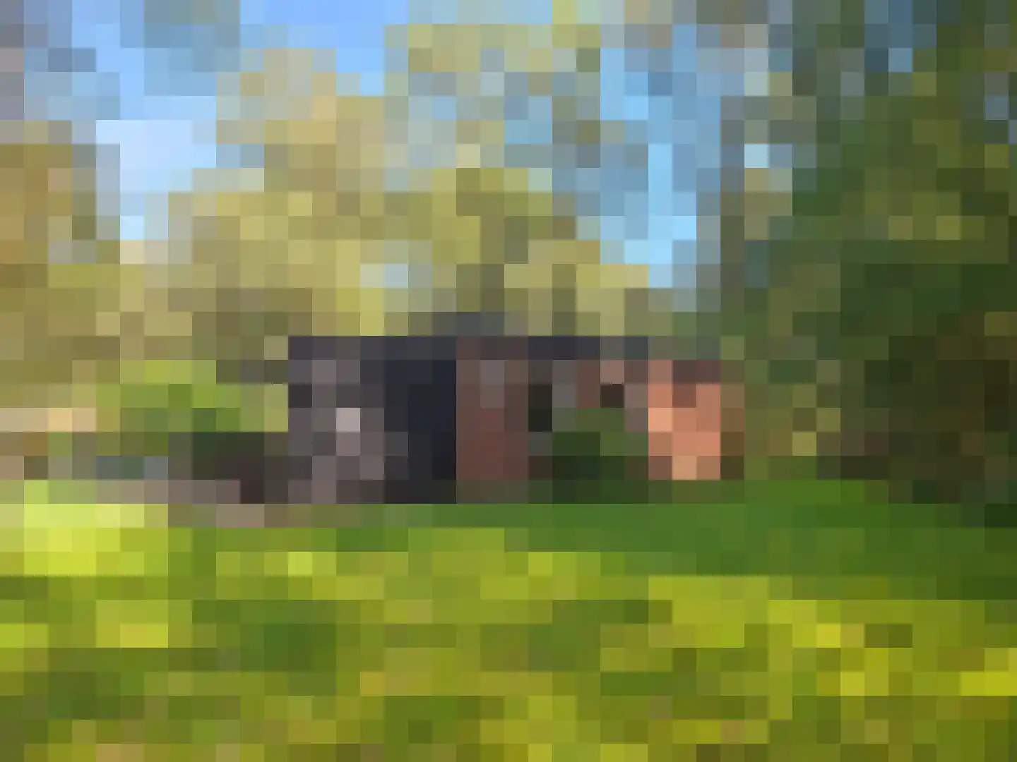 Slenerweg 83 08 Schoonoord thumbnail 22