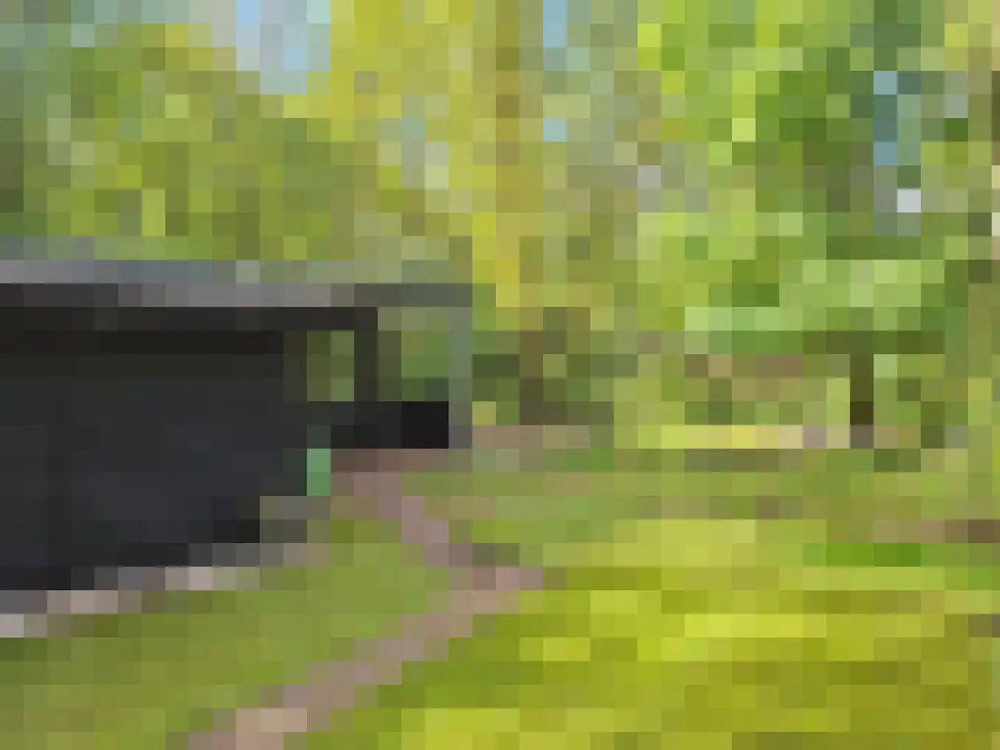 Slenerweg 83 08 Schoonoord thumbnail 25