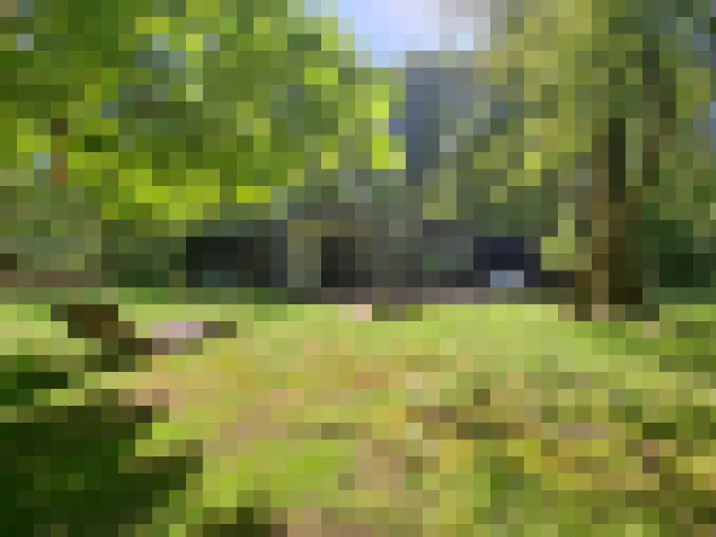 Slenerweg 83 08 Schoonoord thumbnail 28