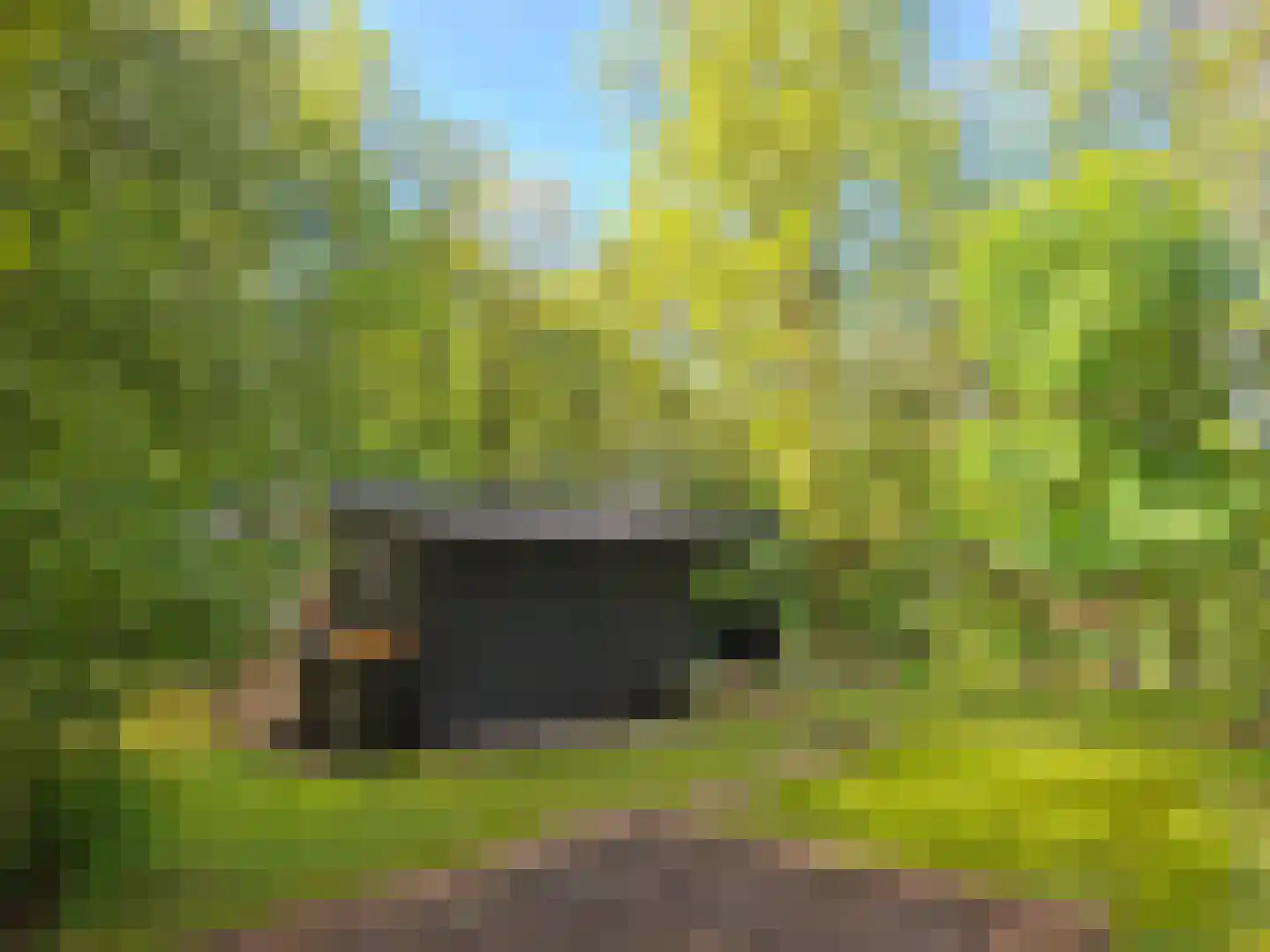 Slenerweg 83 08 Schoonoord thumbnail 4