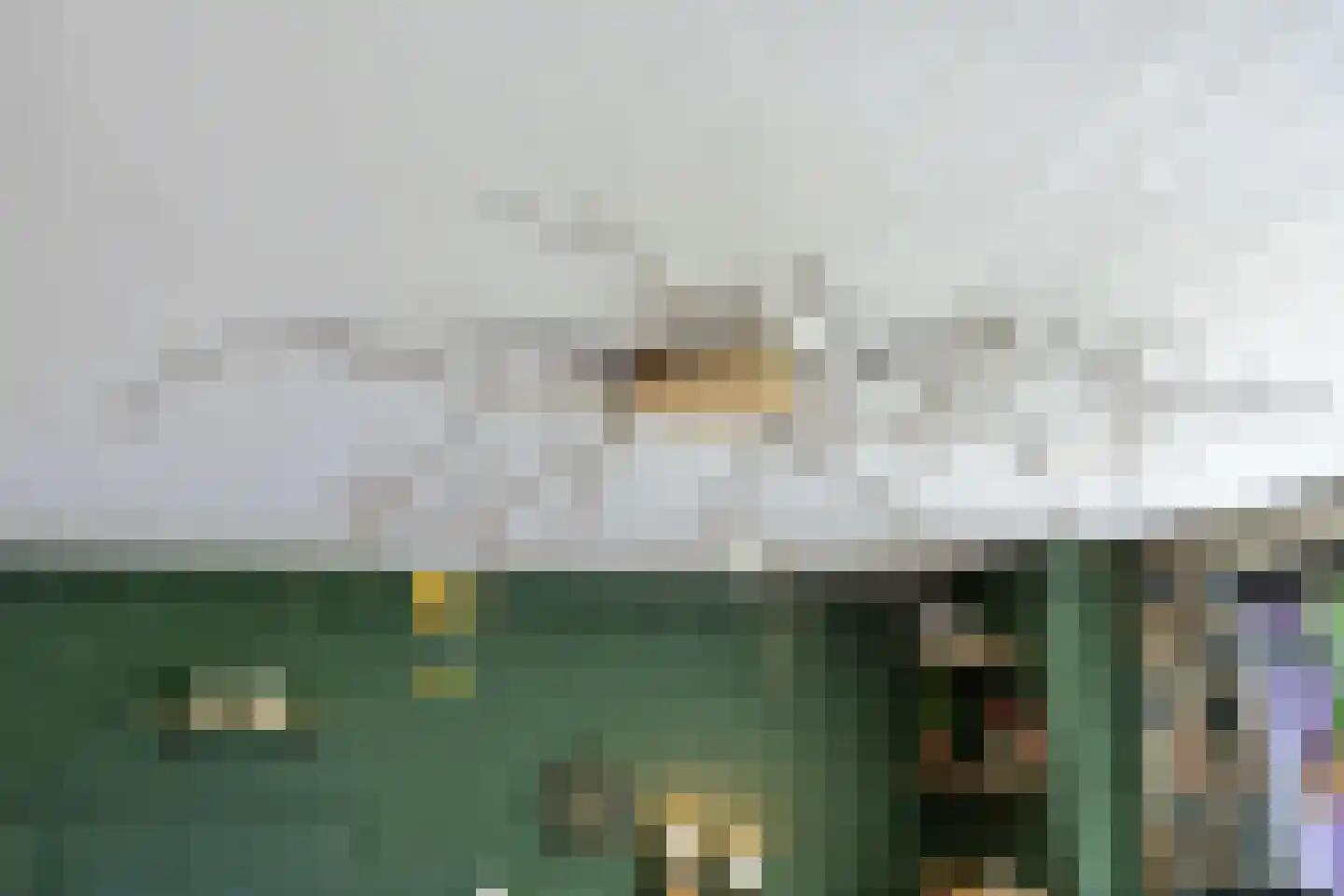 Slenerweg 83 10 Schoonoord thumbnail 19