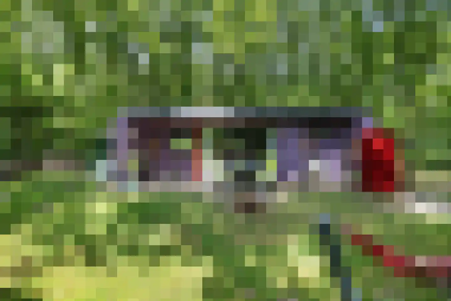Slenerweg 83 10 Schoonoord thumbnail 28