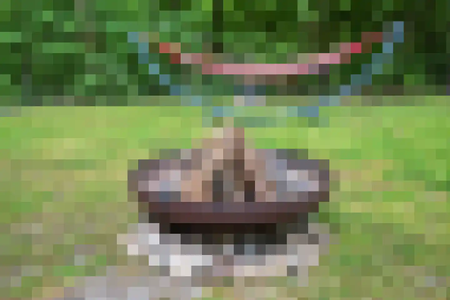 Slenerweg 83 10 Schoonoord thumbnail 29
