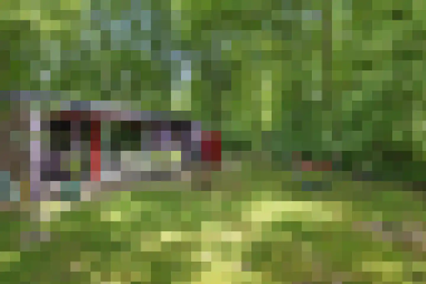 Slenerweg 83 10 Schoonoord thumbnail 30
