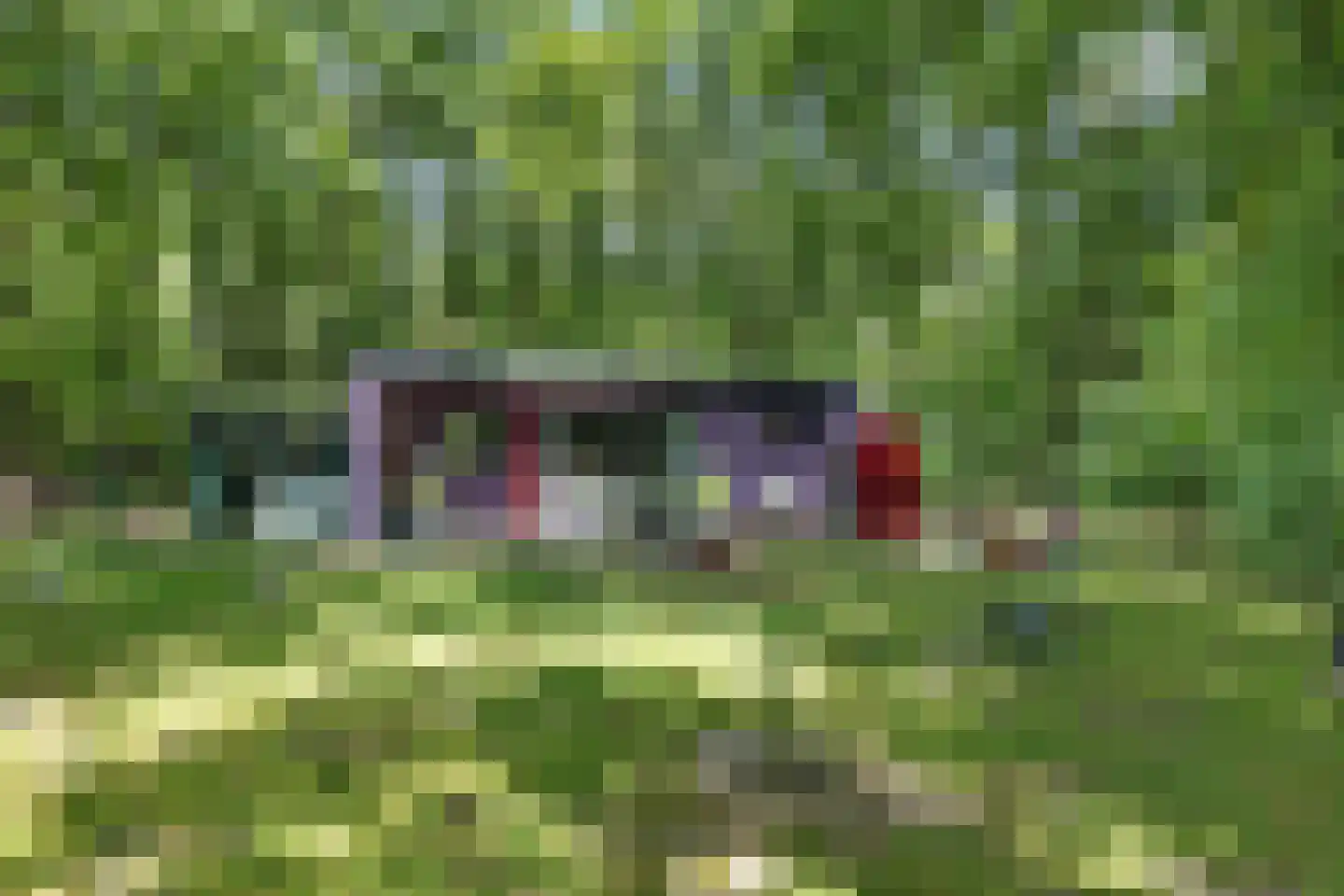 Slenerweg 83 10 Schoonoord thumbnail 31