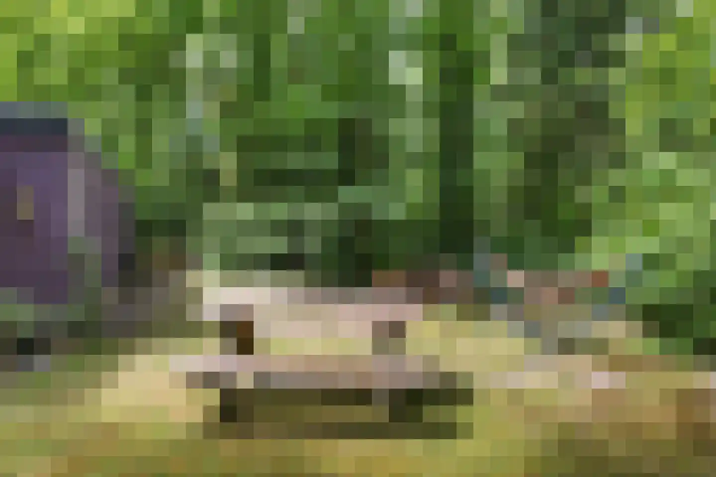 Slenerweg 83 10 Schoonoord thumbnail 34