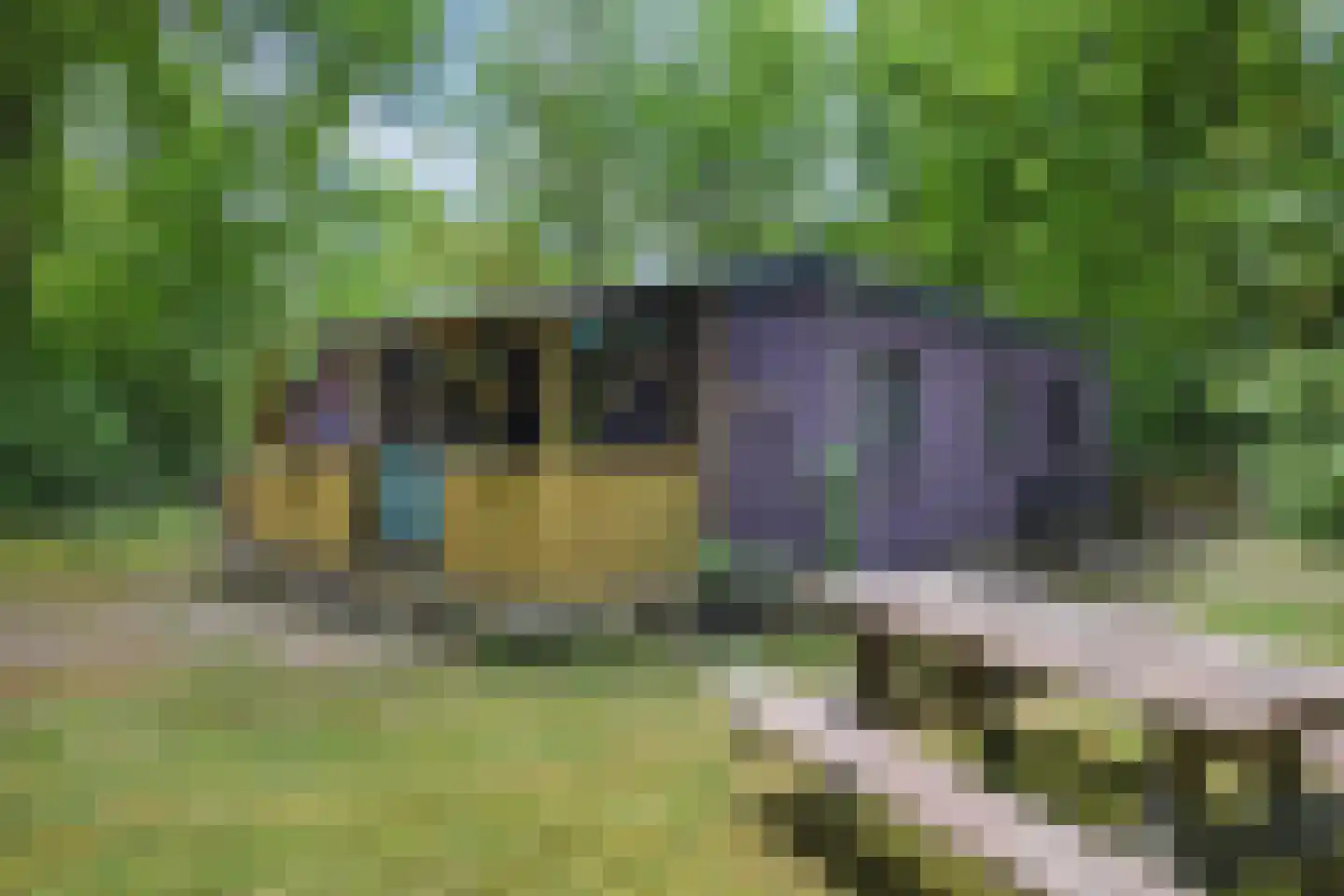 Slenerweg 83 10 Schoonoord thumbnail 35