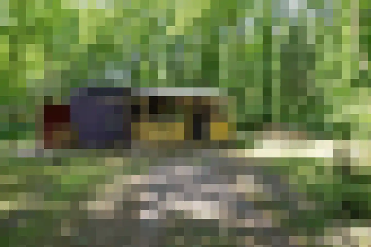 Slenerweg 83 10 Schoonoord thumbnail 36