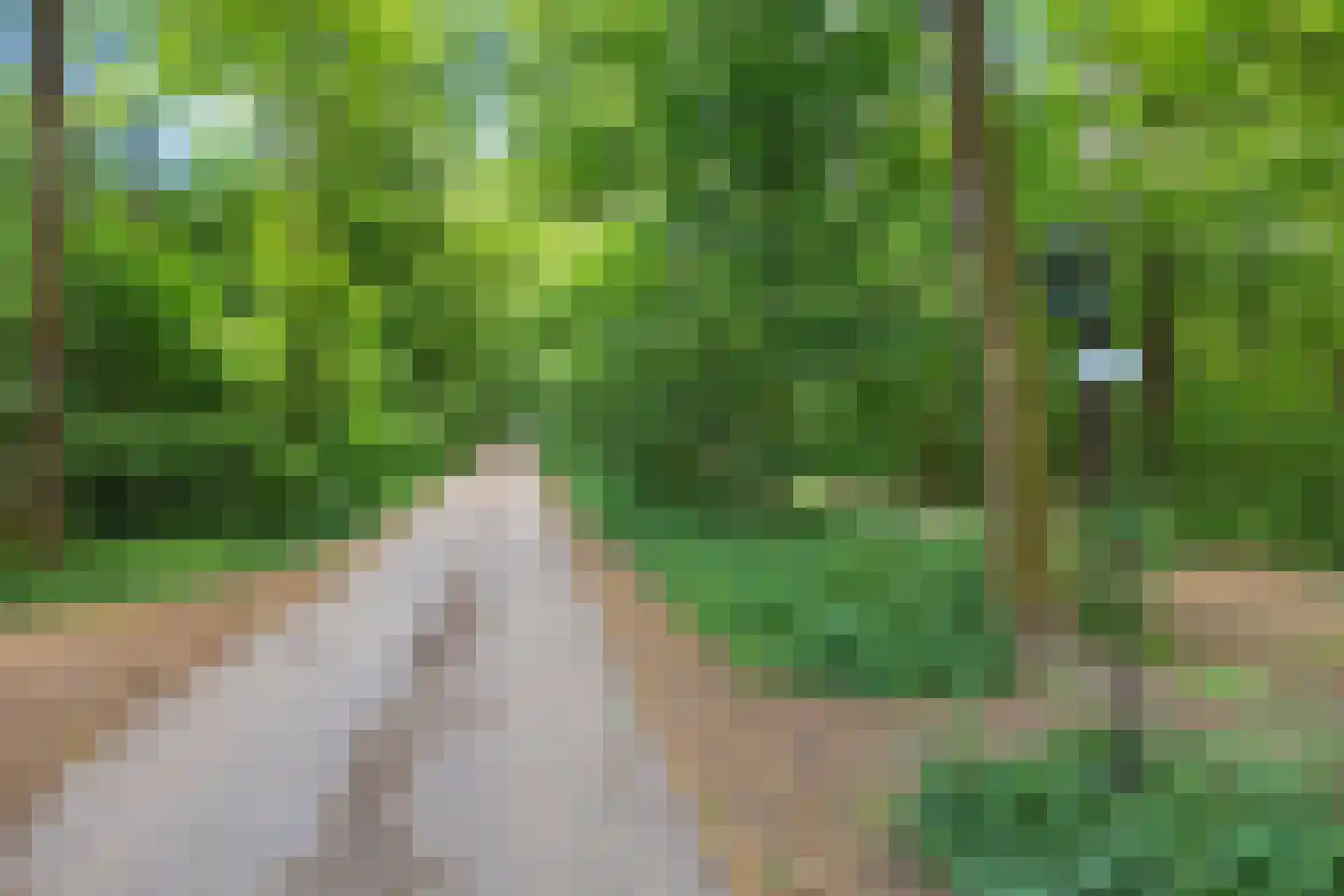 Slenerweg 83 10 Schoonoord thumbnail 37