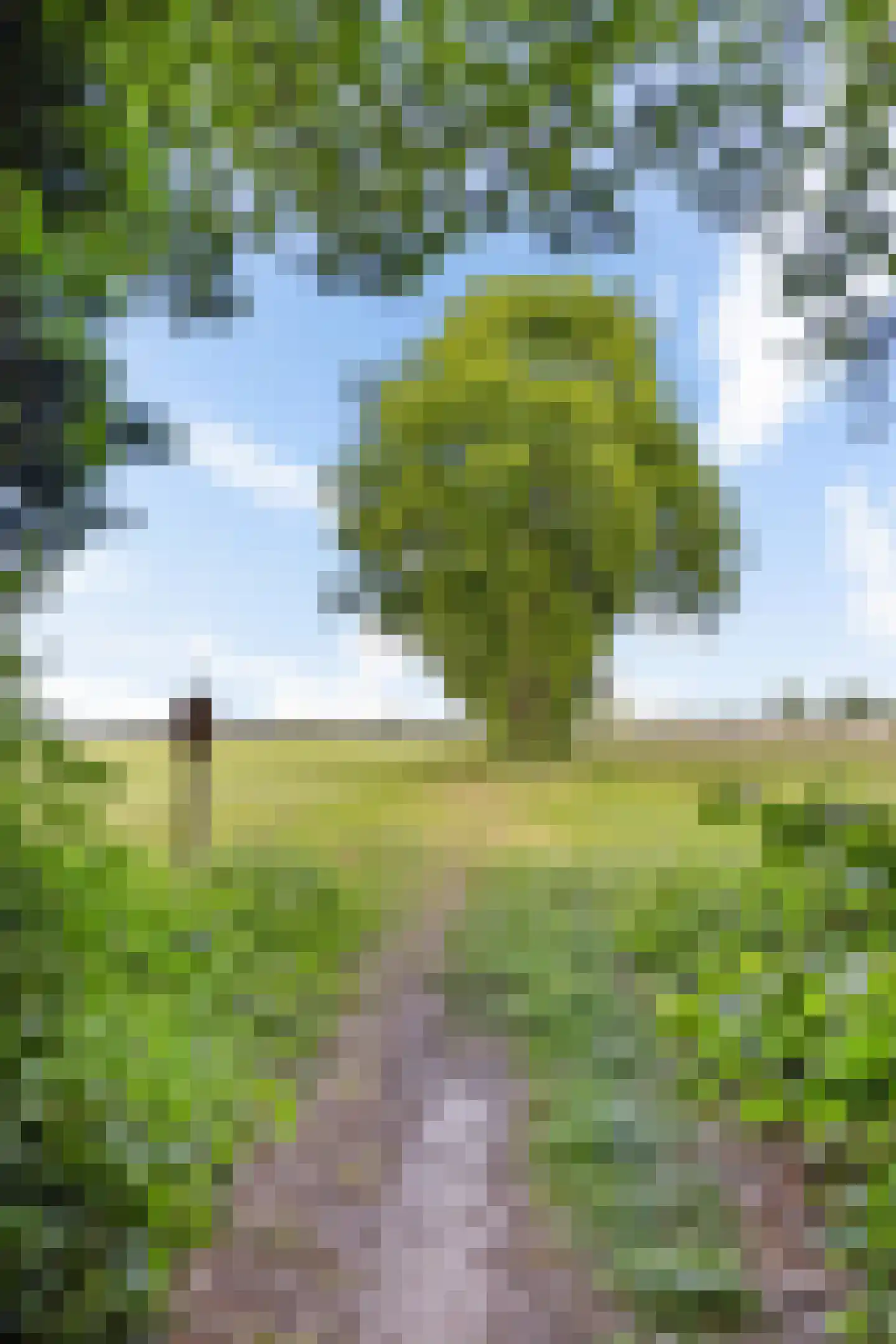 Slenerweg 83 10 Schoonoord thumbnail 39