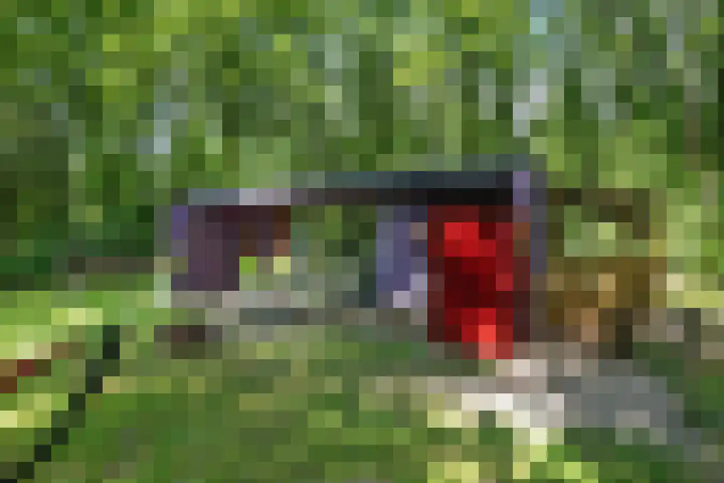 Slenerweg 83 10 Schoonoord thumbnail 4