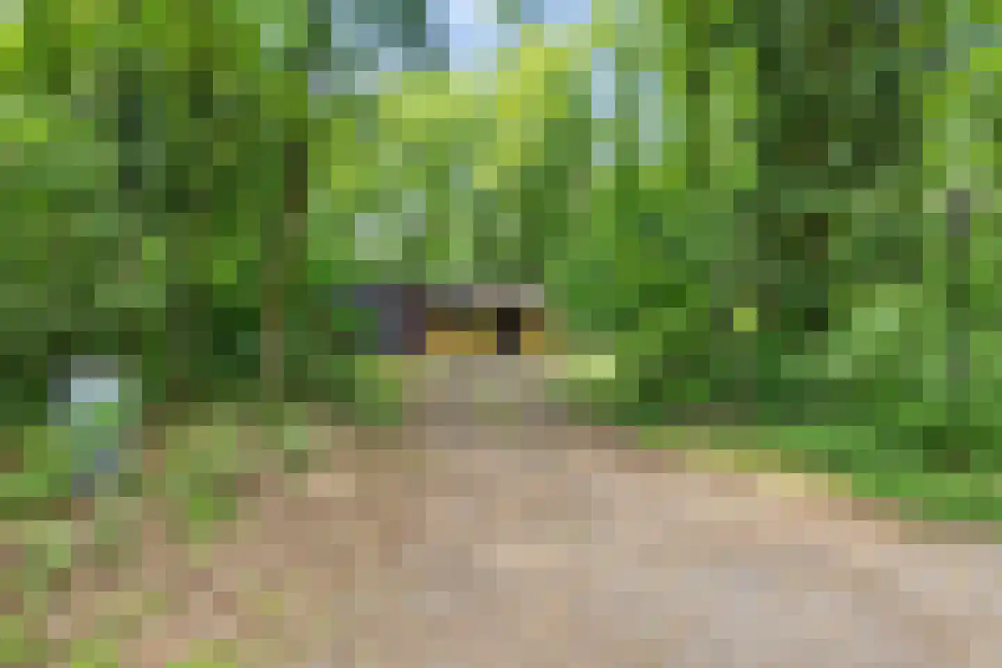 Slenerweg 83 10 Schoonoord thumbnail 6