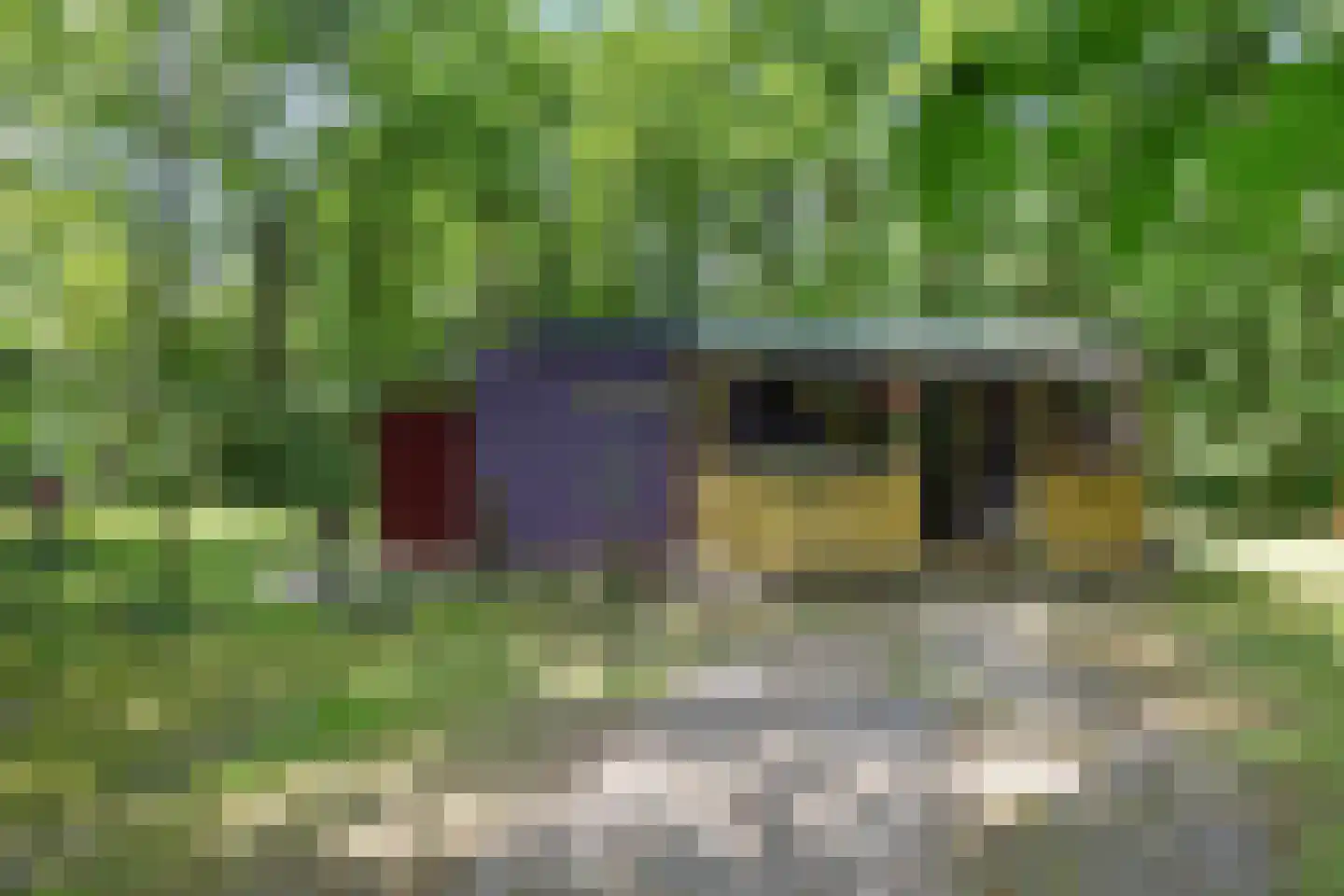 Slenerweg 83 10 Schoonoord thumbnail 7