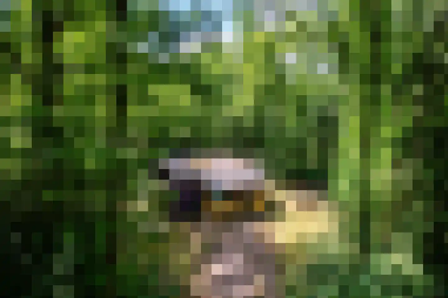 Slenerweg 83 10 Schoonoord thumbnail 8
