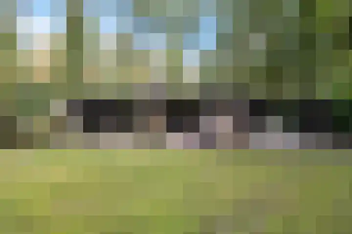 Slenerweg 83 19 in Schoonoord