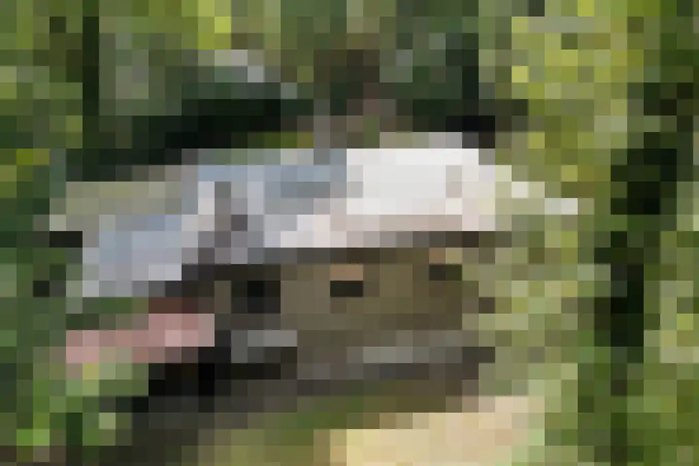 Slenerweg 83 19 Schoonoord thumbnail 28