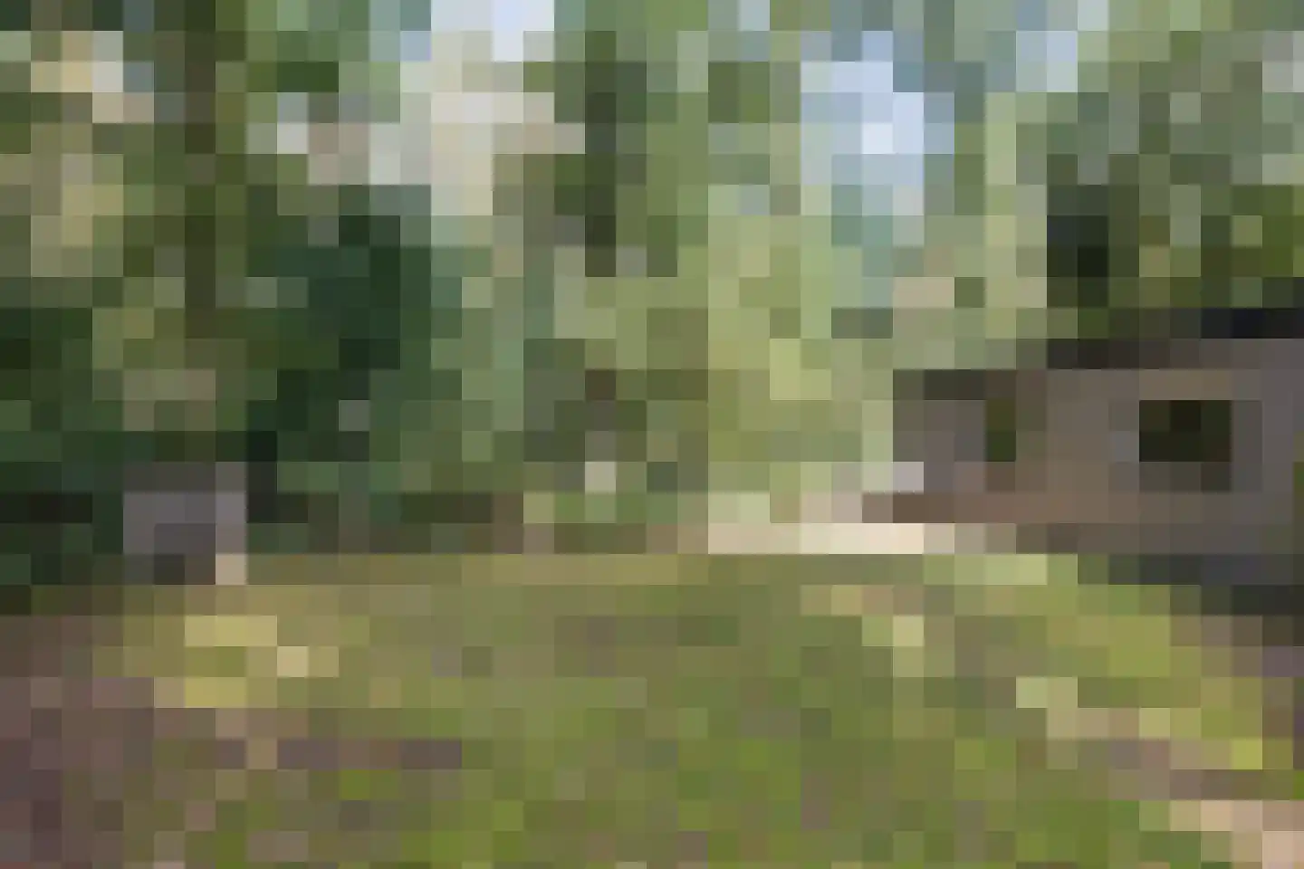 Slenerweg 83 19 Schoonoord thumbnail 30