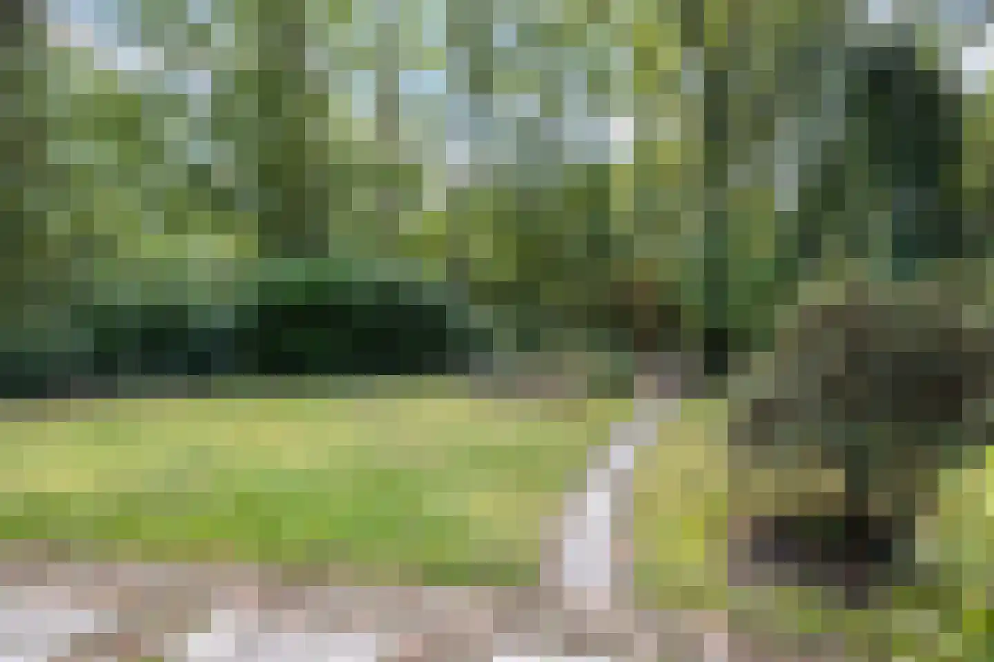 Slenerweg 83 19 Schoonoord thumbnail 32