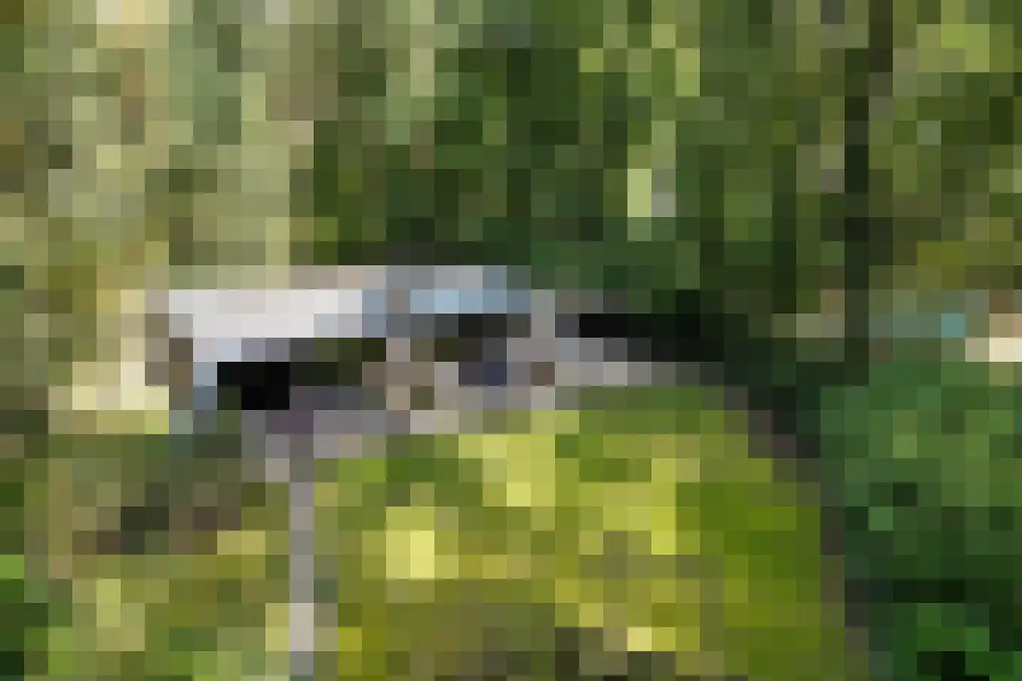 Slenerweg 83 19 Schoonoord thumbnail 7