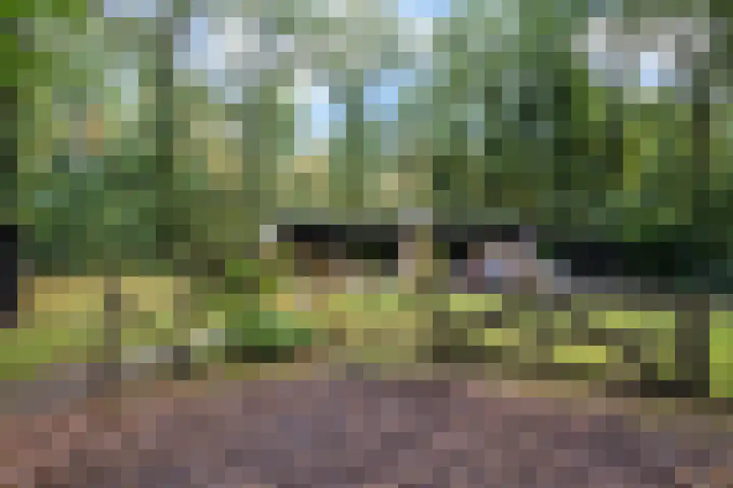 Slenerweg 83 19 Schoonoord thumbnail 8
