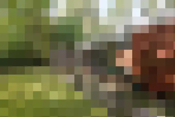 Slenerweg 83 22 Schoonoord thumbnail 24