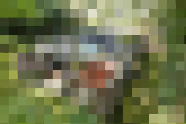 Slenerweg 83 22 Schoonoord thumbnail 26