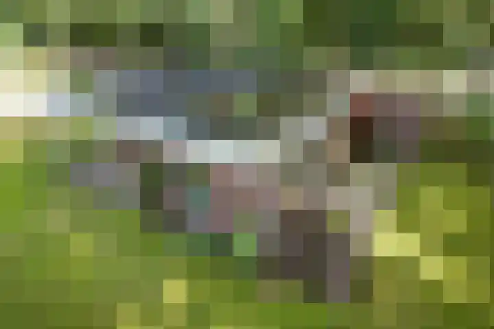 Slenerweg 83 22 Schoonoord thumbnail 27