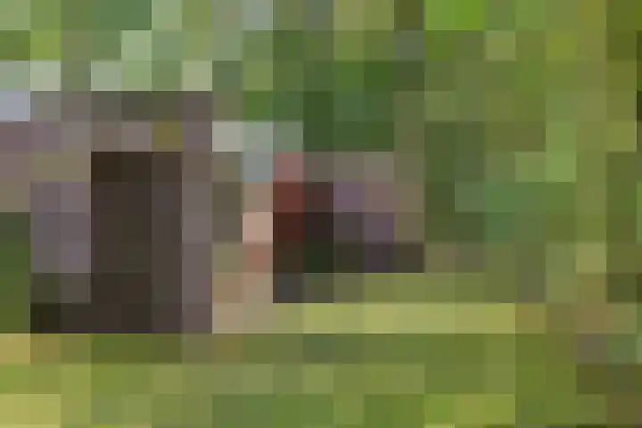 Slenerweg 83 22 Schoonoord thumbnail 29