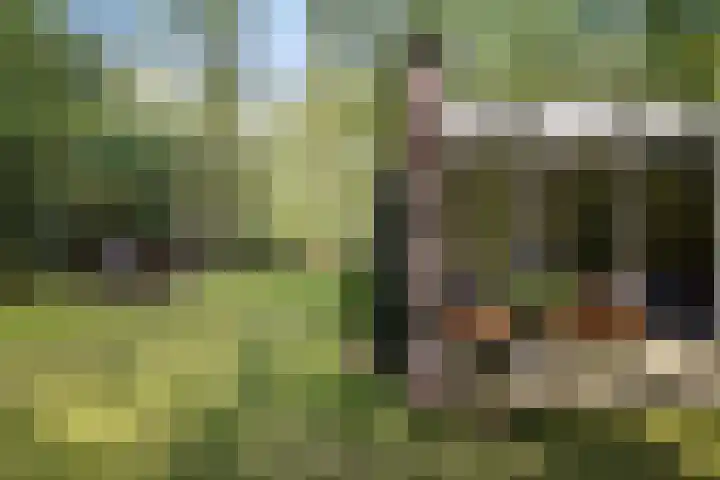 Slenerweg 83 22 Schoonoord thumbnail 30