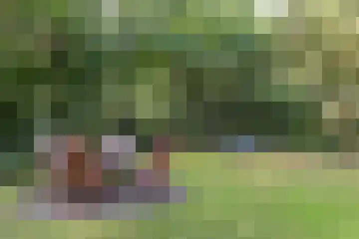 Slenerweg 83 22 Schoonoord thumbnail 31