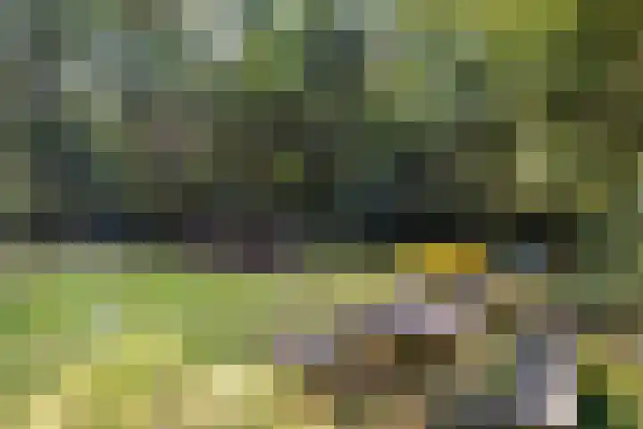 Slenerweg 83 22 Schoonoord thumbnail 32