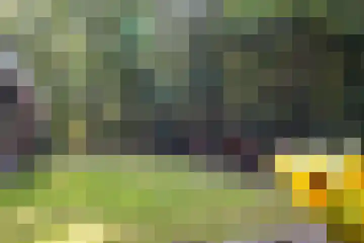 Slenerweg 83 22 Schoonoord thumbnail 33
