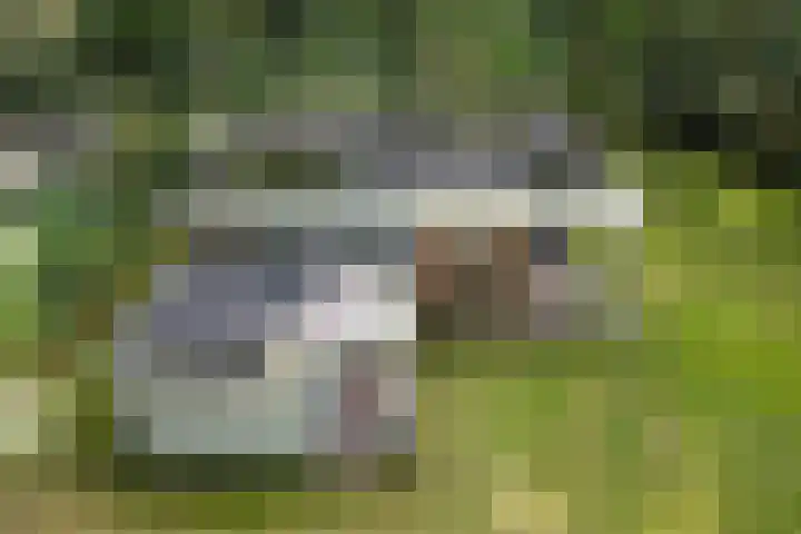 Slenerweg 83 22 Schoonoord thumbnail 34