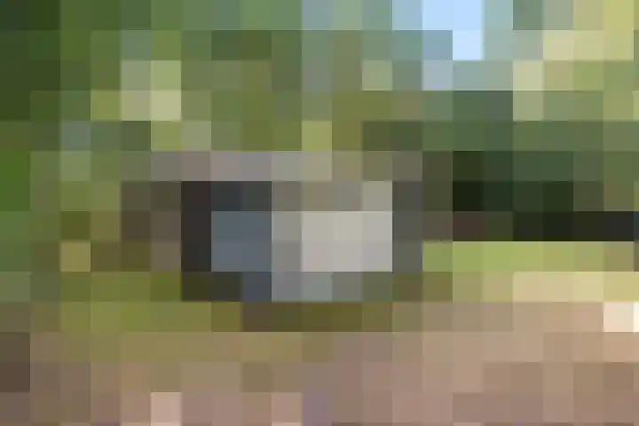 Slenerweg 83 22 Schoonoord thumbnail 35