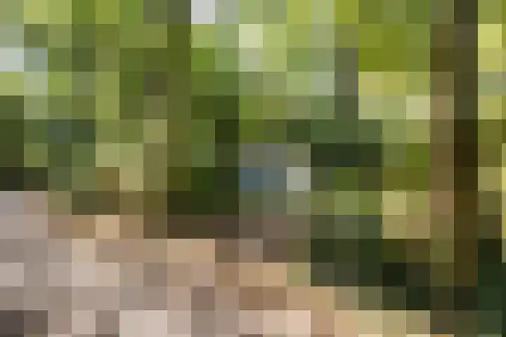 Slenerweg 83 22 Schoonoord thumbnail 36