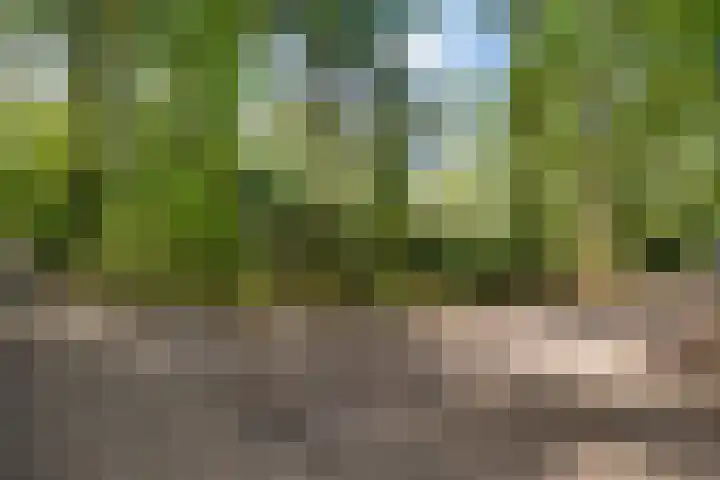 Slenerweg 83 22 Schoonoord thumbnail 37
