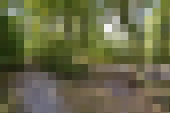 Slenerweg 83 22 Schoonoord thumbnail 38