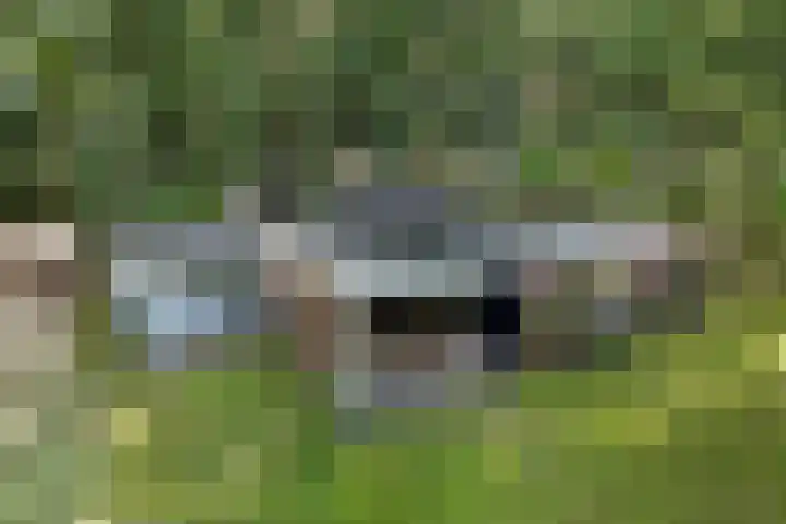 Slenerweg 83 22 Schoonoord thumbnail 6