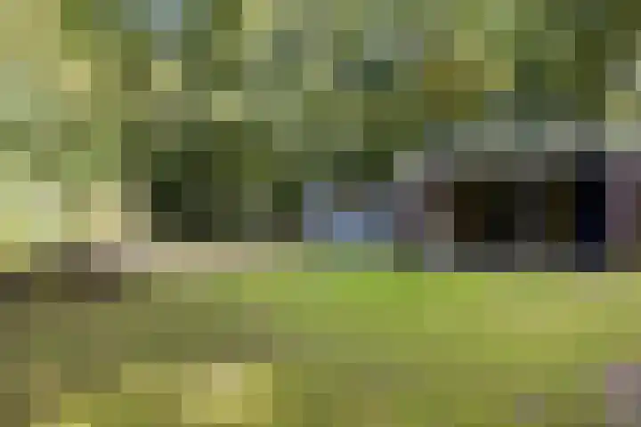Slenerweg 83 22 Schoonoord thumbnail 7