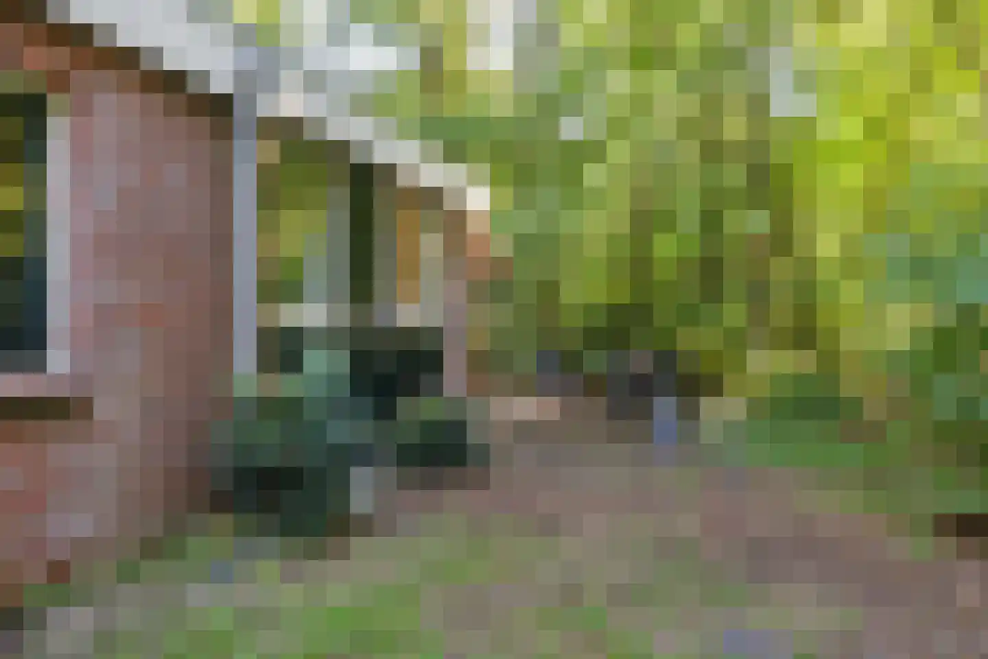 Slenerweg 83 27 Schoonoord thumbnail 10
